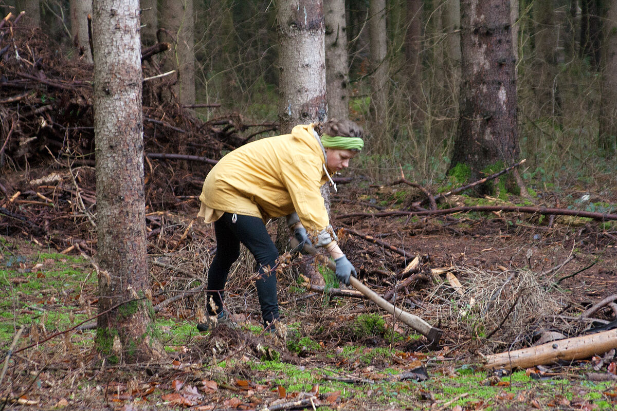 2023_Januar_Vorbereitung_der_Flaeche_mit_der_Plackhacke_Foto Sabrina Lampe_gestaltungwismar.jpg